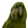 RareParrot - 56x56