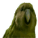 RareParrot