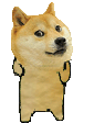 DogePls emote