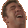 gachiGASM3D