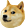 ConcernDoge