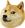 ConcernDoge