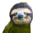 RareSloth emote