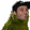 sumParrot