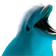 RareDolphin
