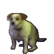 JamesPls emote