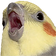 birdO