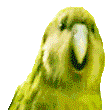 PartyParrot emote