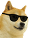 KoolDoge