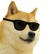 KoolDoge emote