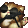 RarePotato