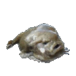 FishMoleyPls emote