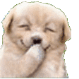 HEHEHE emote