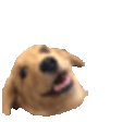 WoweeHOP emote