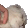 tylerNelson