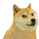 RareDoge