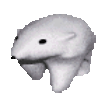 FreeBear emote