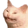 catOk