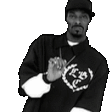 SnoopPls emote