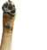 pupperWavesR