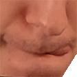 nutTasty emote