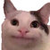 politeCat