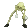 BoneZone