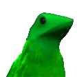 DatFrog emote