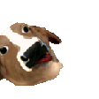 CoweeHOP emote