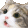grandCAT