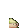 dankCircle