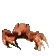CrabPls - 56x56
