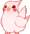 BirbRave emote