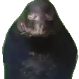 notUpset emote