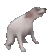 DogDance - 56x56