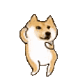 dogeDancin emote