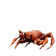CrabPls