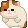 BIGCAT