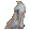 alohaDance