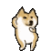 DogePls - 56x56