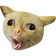 coughCat