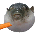 AUGH emote