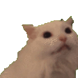 MYAAA emote
