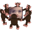 pokiMyQueen emote