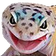 GECKW