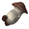 Shroom emote