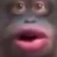 monkeyS emote