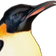 roflWooks