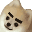 3x.gif