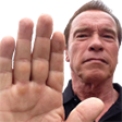 arnoldHalt emote